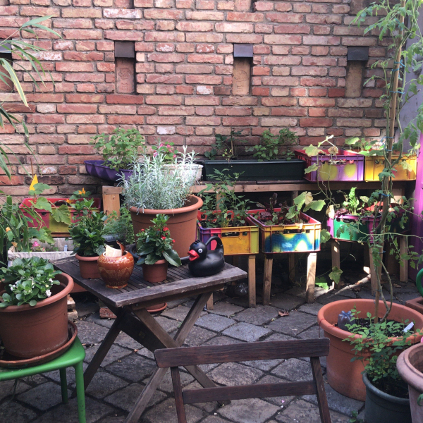 yard full with plants in different pots